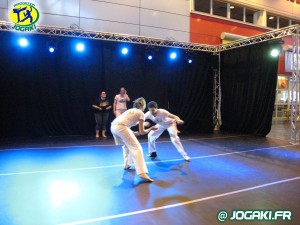 demonstration-de-capoeira-paris-salon-porte-de-versailles-346