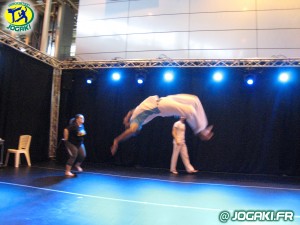 spectacle-capoeira-paris-danseurs-evenement-happening-bresil-269