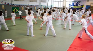 capoeira-paris-2015-festival-capoeiraizes-abada-jogaki-185