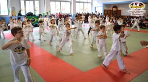 capoeira-paris-2015-festival-capoeiraizes-abada-jogaki-204