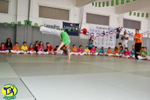 Championnat de Capoeira Paris 2014 enfants Jogaki - jogaventura222 [L1600]
