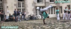 capoeira-paris-bamba-pumabada-jogaki-acrobaties